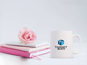 北京泰吉興投資公司標(biāo)志設(shè)計案例圖片與理念說明 北京西風(fēng)東韻設(shè)計公司